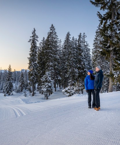 Verschneite Winterlandschaft in Filzmoos  © TVB Filzmoos