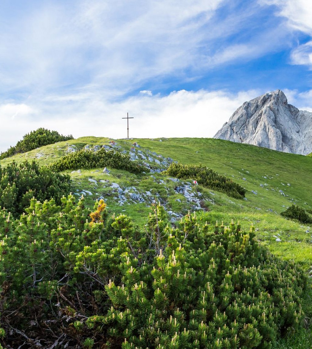 Blumenwiese in den Bergen