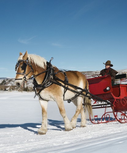 Pferdeschlittenfahrt in Filzmoos © Canva