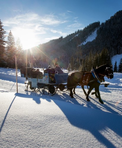 Pferdeschlittenfahrt im Winter