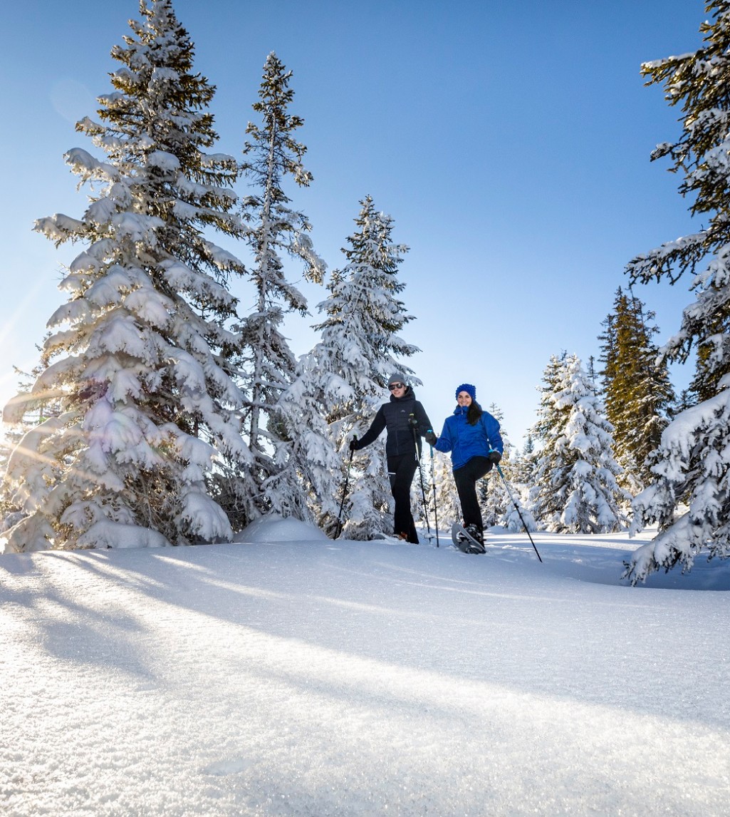 Zwei Personen genießen eine Schneeschuhwanderung durch den verschneiten Wald in Filzmoos  © TVB Filzmoos
